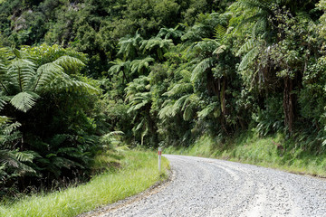 Forgotten World Highway in Taranaki, New Zealand