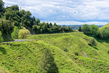 Rural scenery in Taranaki, New Zealand