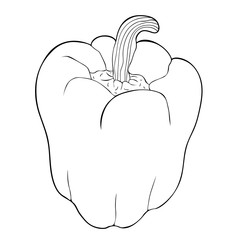 vegetarian.  illustration