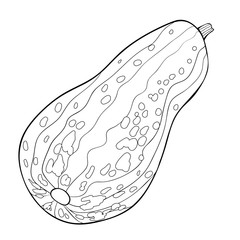 vegetarian.  illustration