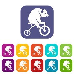 Bear on a bike icons set vector illustration in flat style in colors red, blue, green, and other