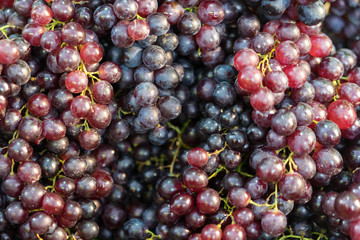 Fresh grapes in market. Grapes can be eaten fresh as table grapes or they can be used for making wine, jam, juice, jelly, grape seed extract, raisins, vinegar, and grape seed oil.