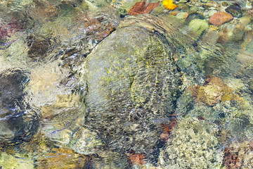 clear water in the river in the jungle