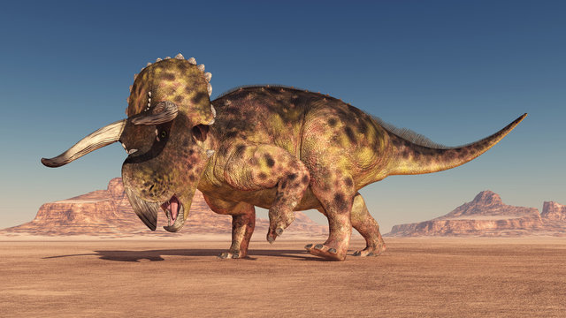 Nasutoceratops Imagens – Procure 41 fotos, vetores e vídeos