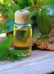 minzblätter minzöl auf holz