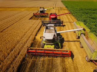 Farming day began
