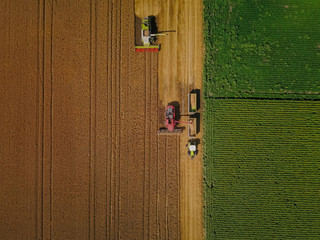 Agriculture in action