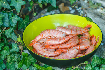 Shrimps. Fresh tiger prawns with spices for grilling