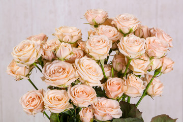Pink roses bouquet