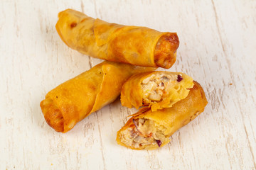 Appetizing spring rolls