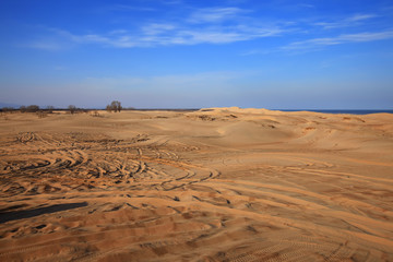 The desert under the blue sky