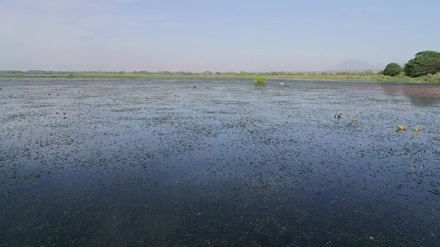 Ramsar Site Aerial Drone Footage ProRes 422 