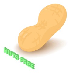 Nuts allergen free icon. Isometric illustration of nuts vector icon for web design