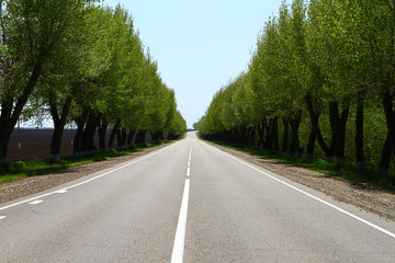 Obraz premium Empty asphalt road at countryside, summer sunny day