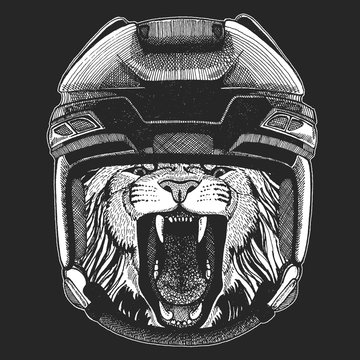 Lion Wild animal wearing hockey helmet. Print for t-shirt design.