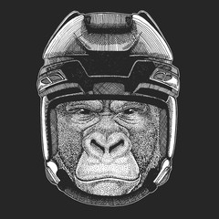 Wild animal wearing hockey helmet. Print for t-shirt design.