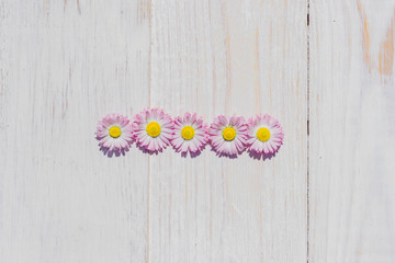 Obraz premium pink Daisy flowers on wooden table background with copy space