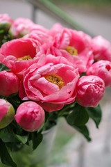 pink peonies. Beautiful summer bouquet. Floral composition. Wallpaper. Lovely flowers in glass vase.