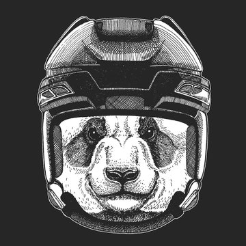 Panda, bear, bamboo. Wild animal wearing hockey helmet. Print for t-shirt design.