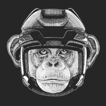 Wild animal wearing hockey helmet. Print for t-shirt design.