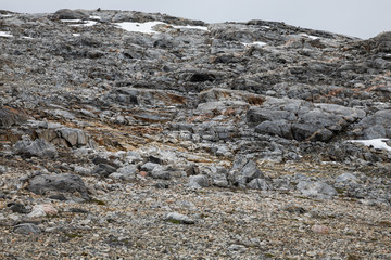 Die Wildnis Grönlands