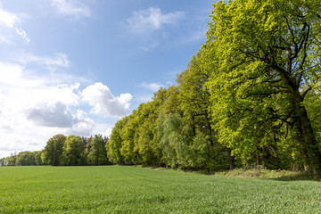 Ackerfläche am Waldesrand © Christian Schwier