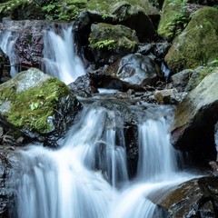 Fototapeta premium 養老の滝１