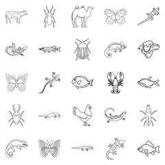Animals from desert icons set. Outline set of 25 animals from desert vector icons for web isolated on white background
