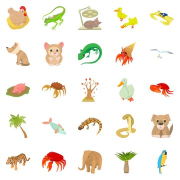 Animal shelter icons set. Cartoon set of 25 animal shelter vector icons for web isolated on white background