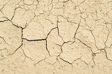 Cracked Dry Earth Top View
