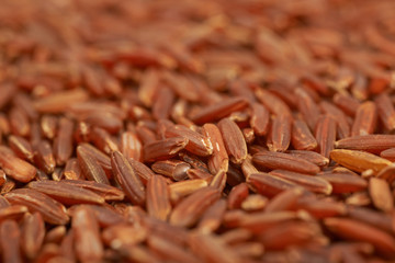 Surface covered with the red rice