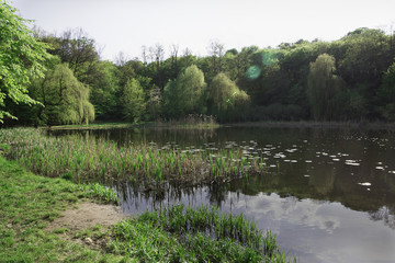 Summer park view with a lake. Green trees reflecting in waters of a pond