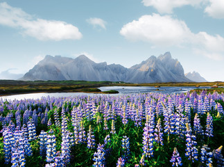 Incredible view of the famous Stokksnes mountains on Vestrahorn cape, Iceland