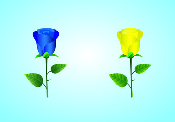 A single blue and yellow rose flower for love vector illustration