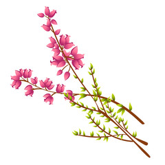 Icon of Calluna Vulgaris or Heather