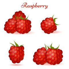Forest Raspberry with Leaves Icons