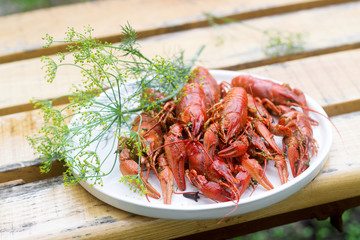 Fresh crayfish boiled with spices and dill served on a round dish.