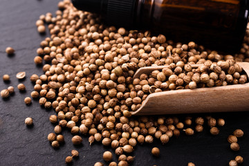 coriander seeds on a dark stone background, essential oil