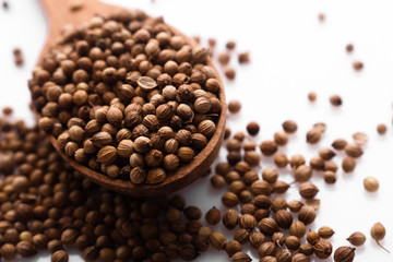 coriander seeds on a white background, essential oil