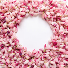 background of pink flowers