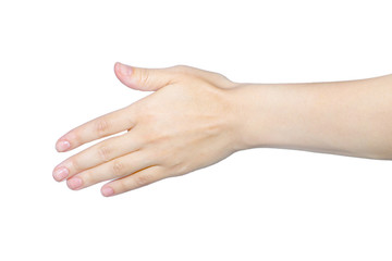 handshake, gesture hand close-up on a white background