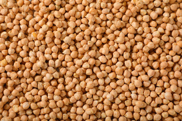 raw dried chickpeas