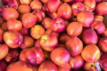 New harvest nectarines for sell at the city market