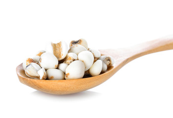 Job's tears in wood spoon on white background