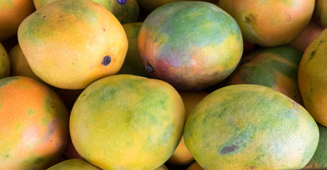New harvest mango for sale at city market