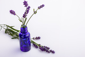 Lavender essential oil in a glass bottle with a pipette