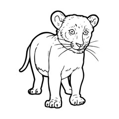 Fototapeta na wymiar Lion cartoon illustration isolated on white background for children color book