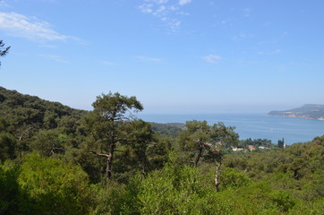 landscape pine tree sky nature sea island rock mountain
