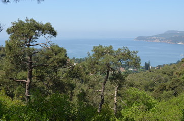 landscape pine tree sky nature sea island rock mountain