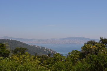 landscape pine tree sky nature sea island rock mountain